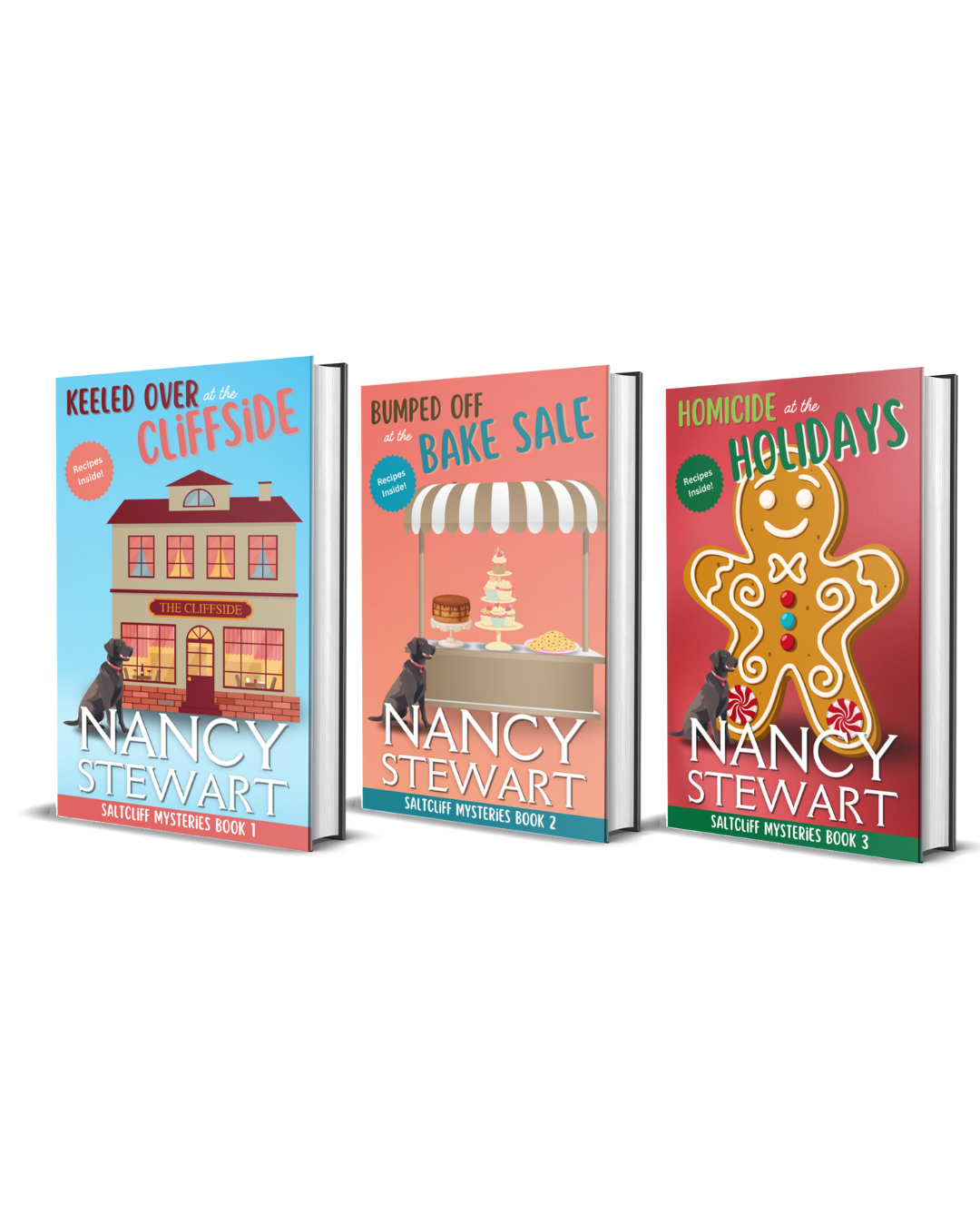 3-book Saltcliff Mystery Hardback Bundle