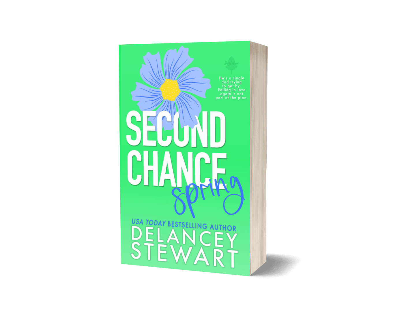 Second Chance Spring - Discreet (Paperback)