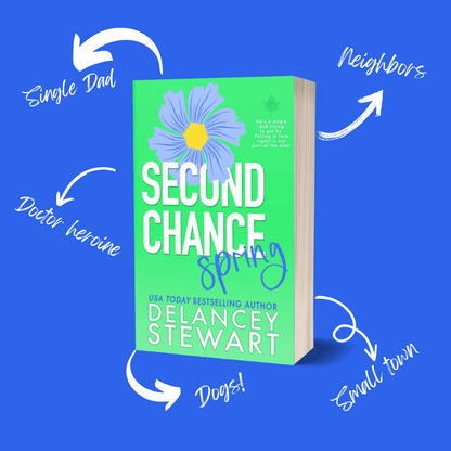 Second Chance Spring - Discreet (Paperback) tropes